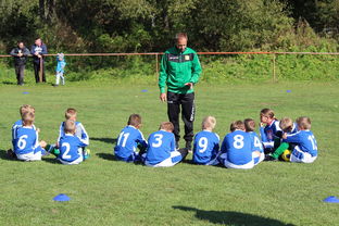 米兰体育-中国篮球教练员战术创新能力培养及培训机制探讨，篮球教练员素养