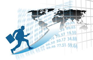 米兰体育app官网-中国篮球职业联赛赛事运营风险控制策略研究，篮球赛事运营方案